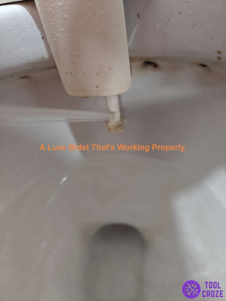 Luxe Bidet Working Properly