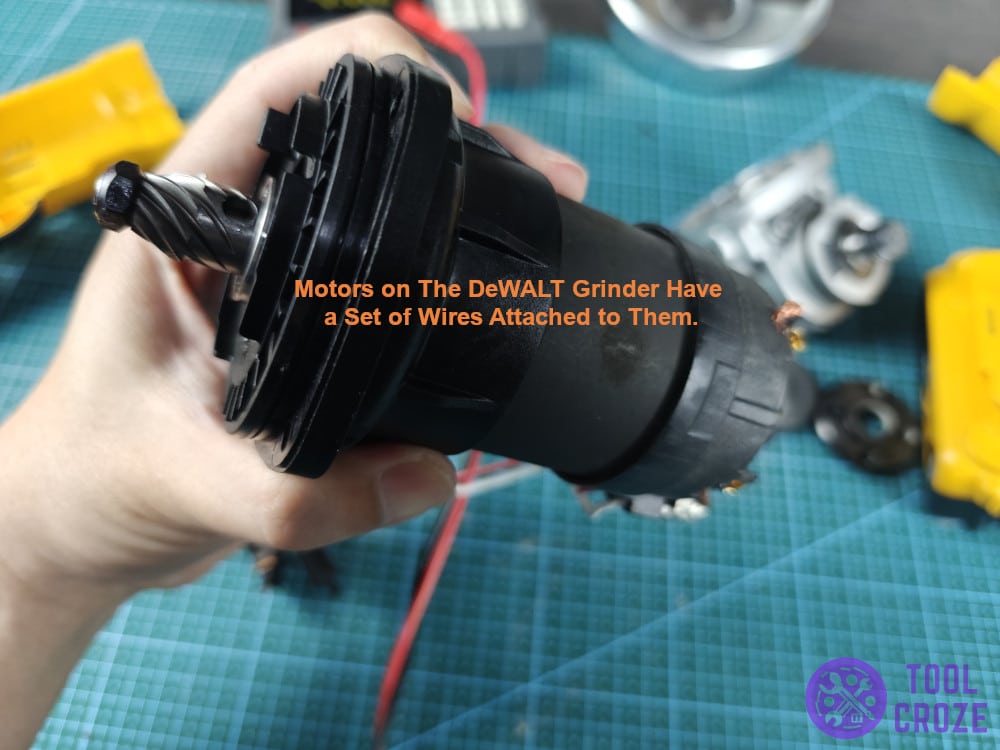 Motors on the DeWALT grinder have a set of wires attached to them.