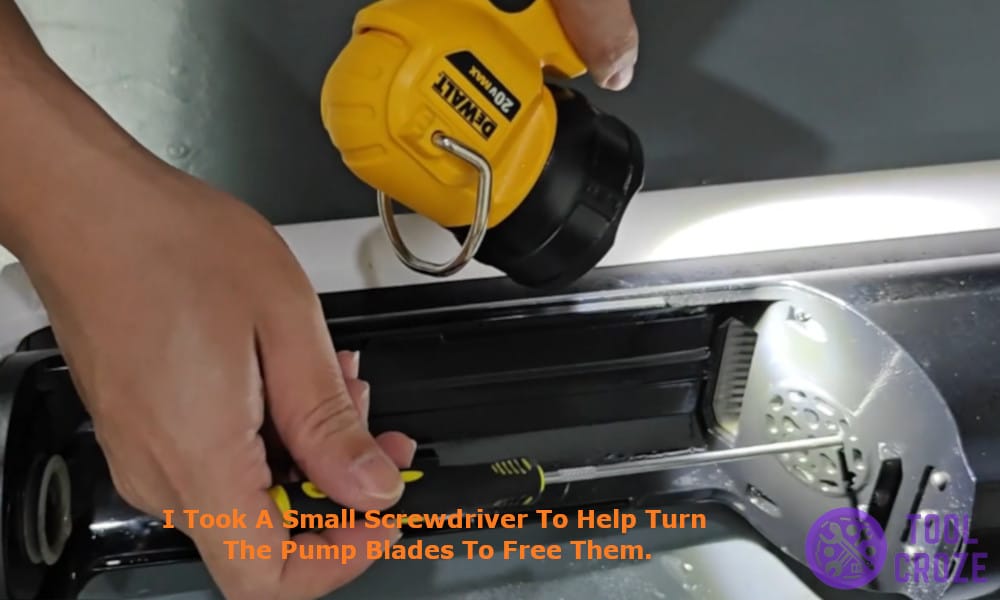 I took a small screwdriver to help turn the pump blades to free them.
