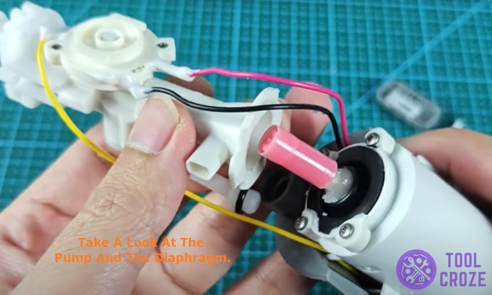 take a look at the pump and the diaphragm
