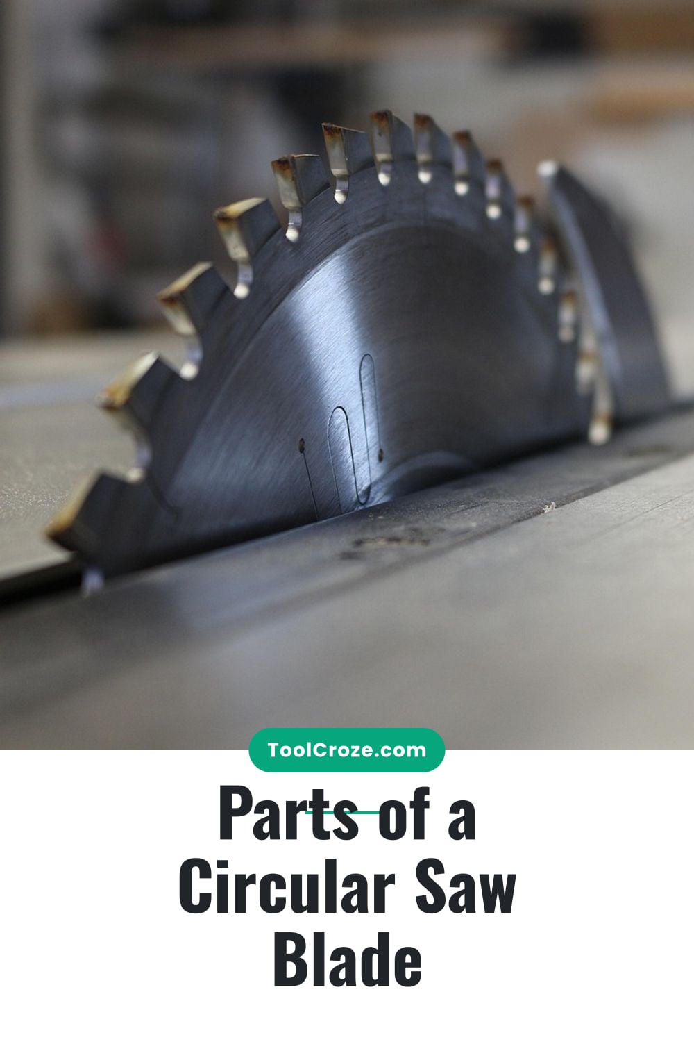 Parts of a Circular Saw Blade