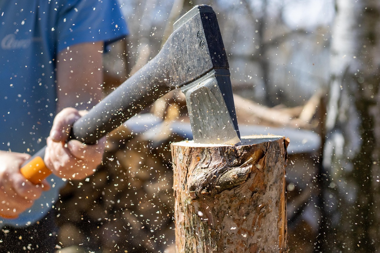 axe wood logs axe wood logs