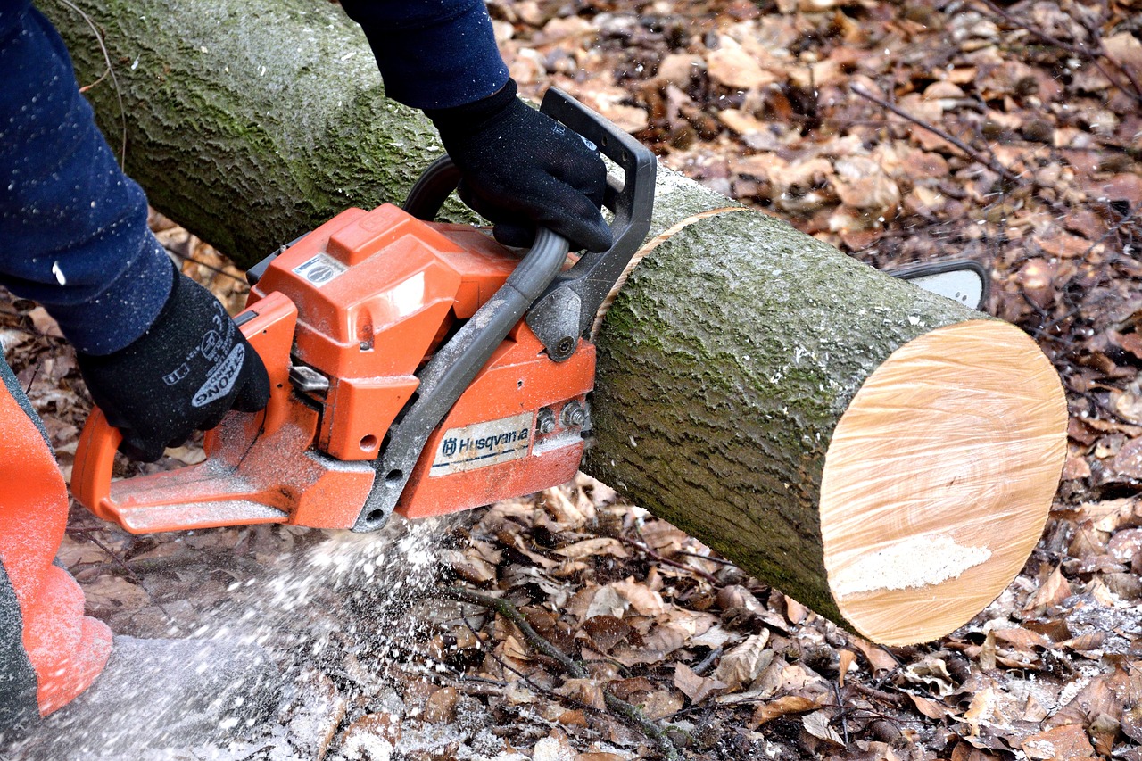 chainsaw machine chainsaw machine