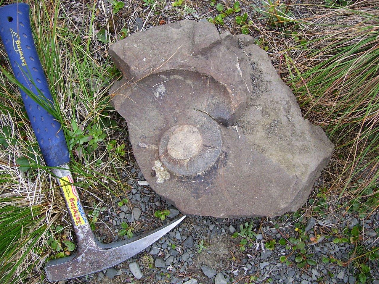 geological hammer rock geological hammer rock