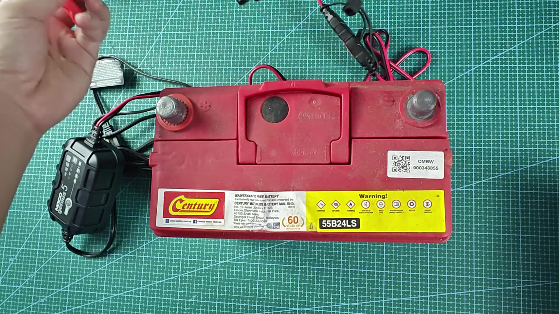 Red and black clamps connecting to battery terminals Red and black clamps connecting to battery terminals