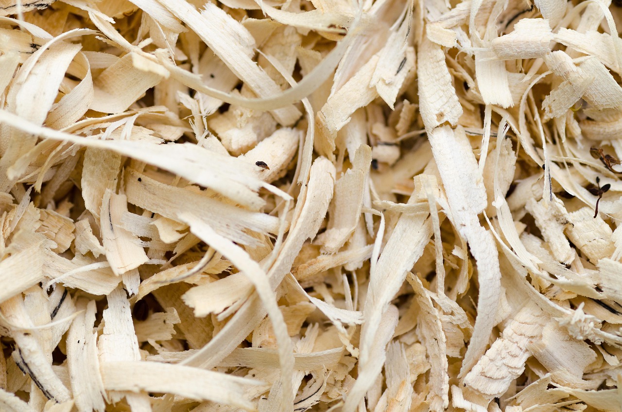 sawdust wood surface sawdust wood surface