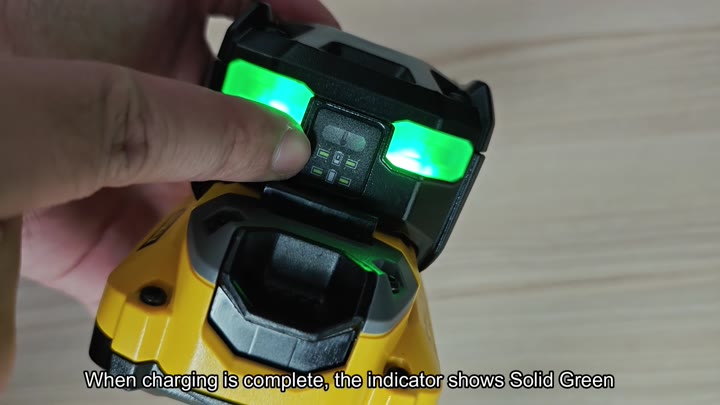 Solid green light indicates full charge